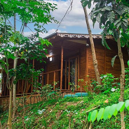 Eco-Por Villa Rio do Ouro Eksteriør billede