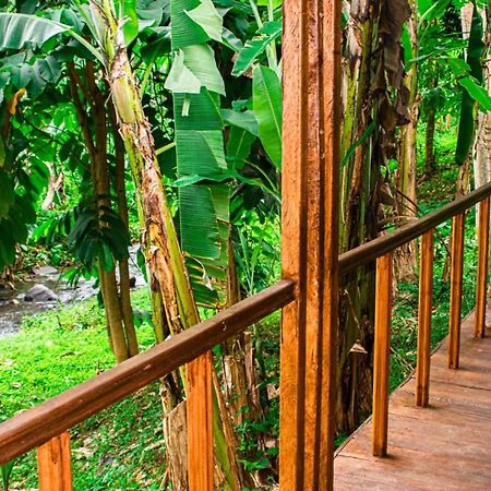 Eco-Por Villa Rio do Ouro Eksteriør billede