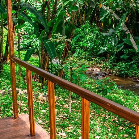 Eco-Por Villa Rio do Ouro Eksteriør billede