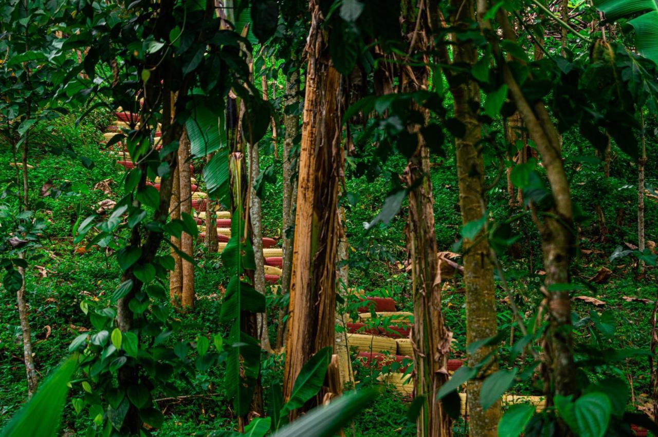 Eco-Por Villa Rio do Ouro Eksteriør billede