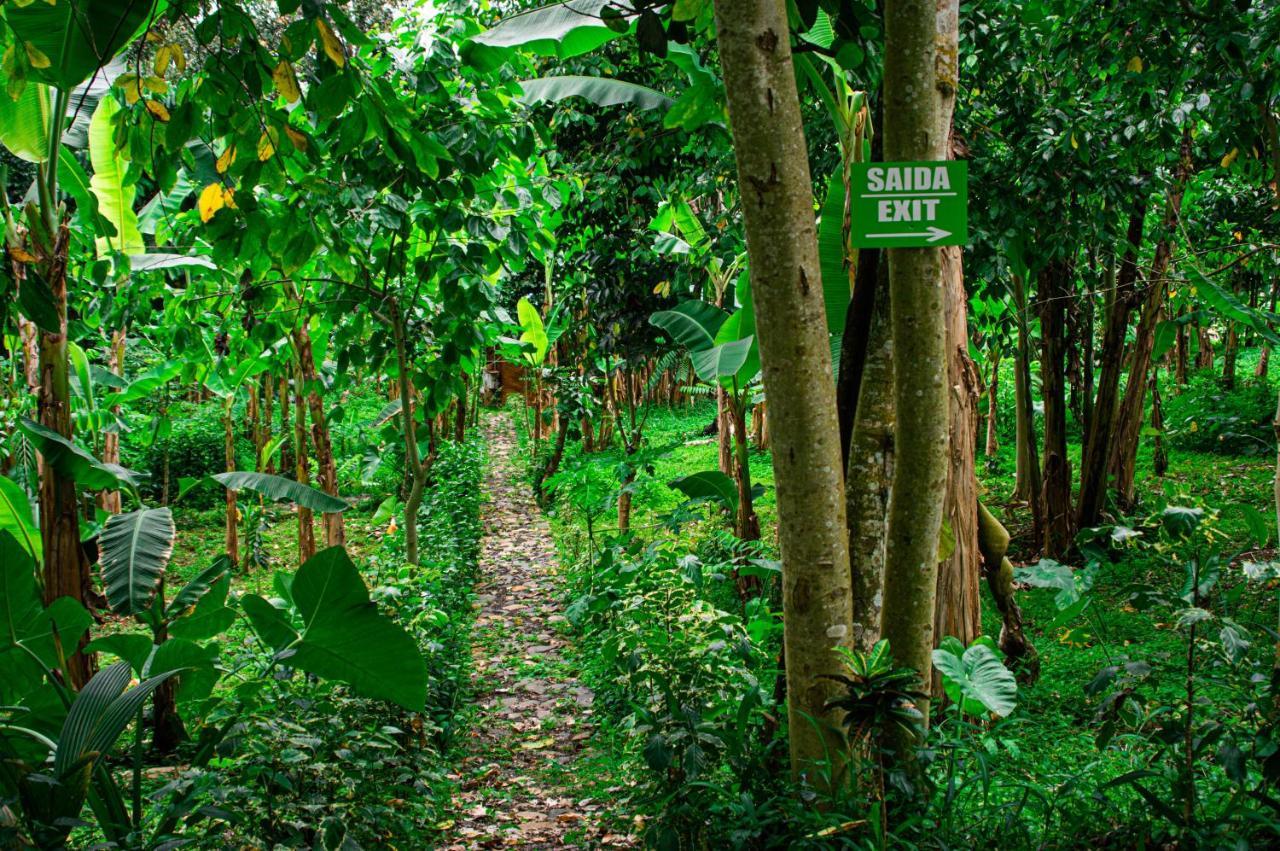Eco-Por Villa Rio do Ouro Eksteriør billede