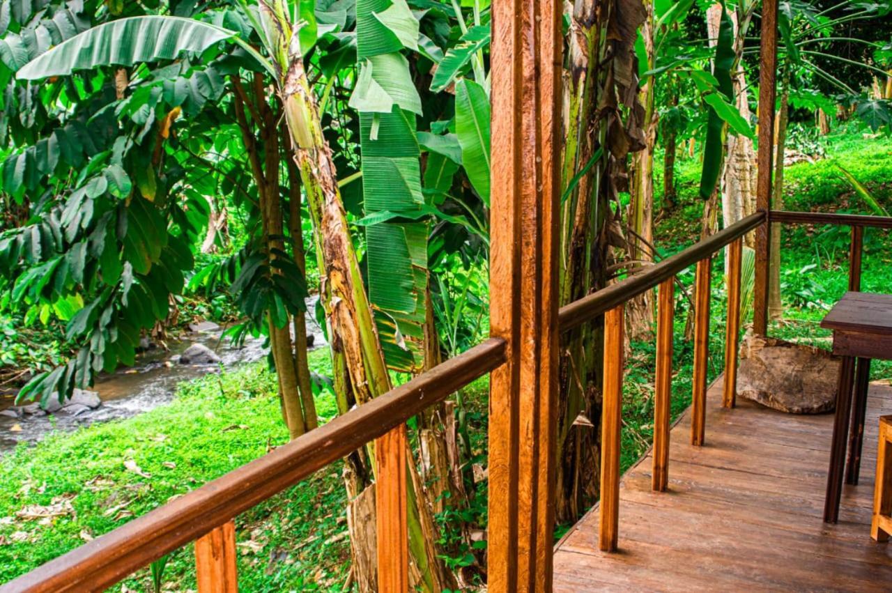 Eco-Por Villa Rio do Ouro Eksteriør billede