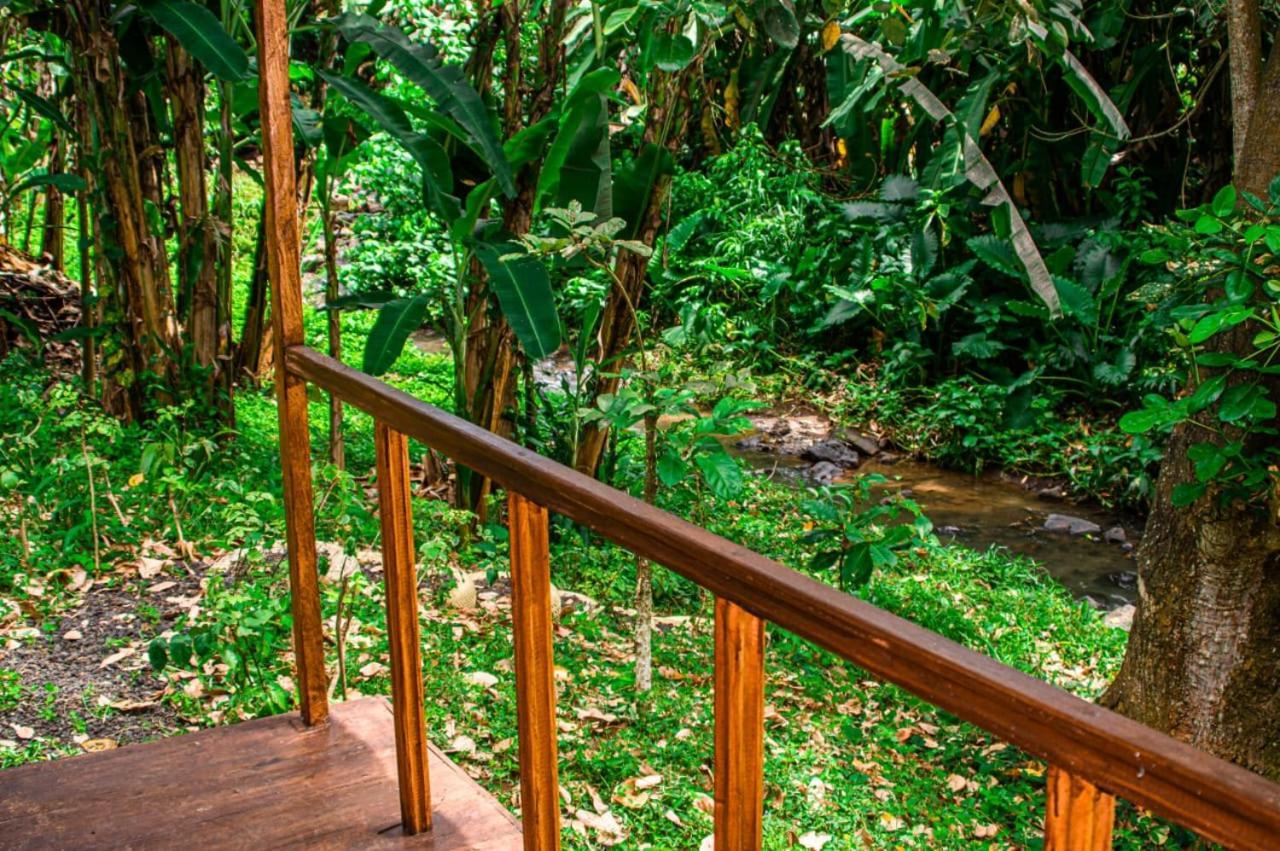 Eco-Por Villa Rio do Ouro Eksteriør billede
