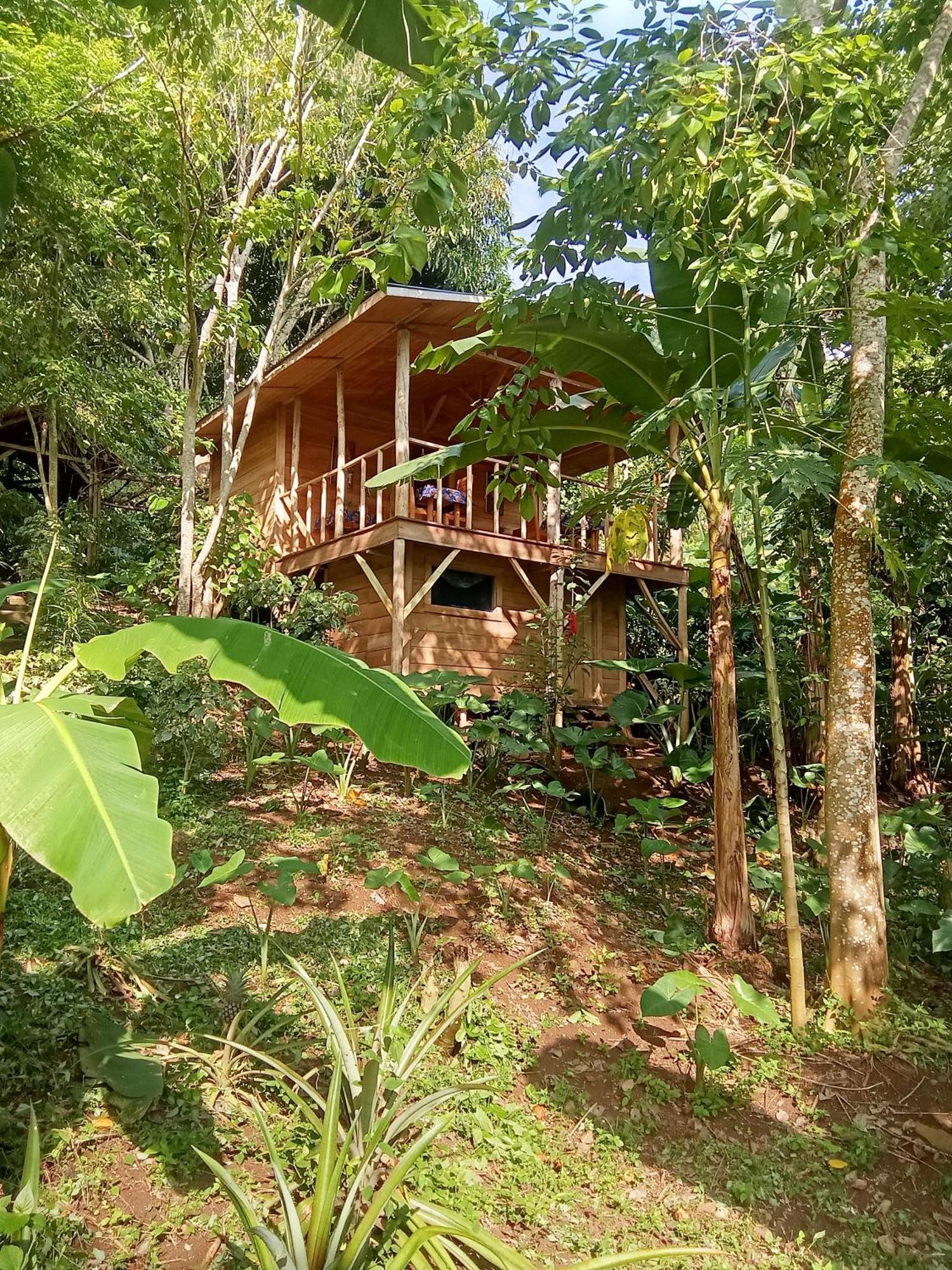 Eco-Por Villa Rio do Ouro Eksteriør billede